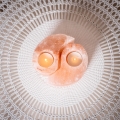 1000_superbutelki_6_2_pełna aranżacja (opcja).jpg