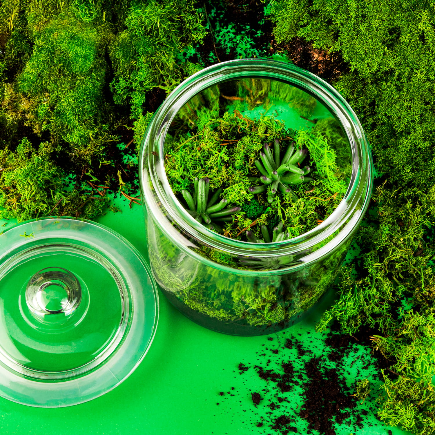 06_pelna_aranzacja 2.jpg