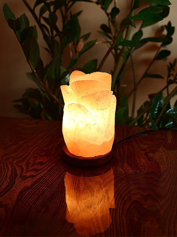 lampa-naturalna-kwiat-swiecaca.jpg