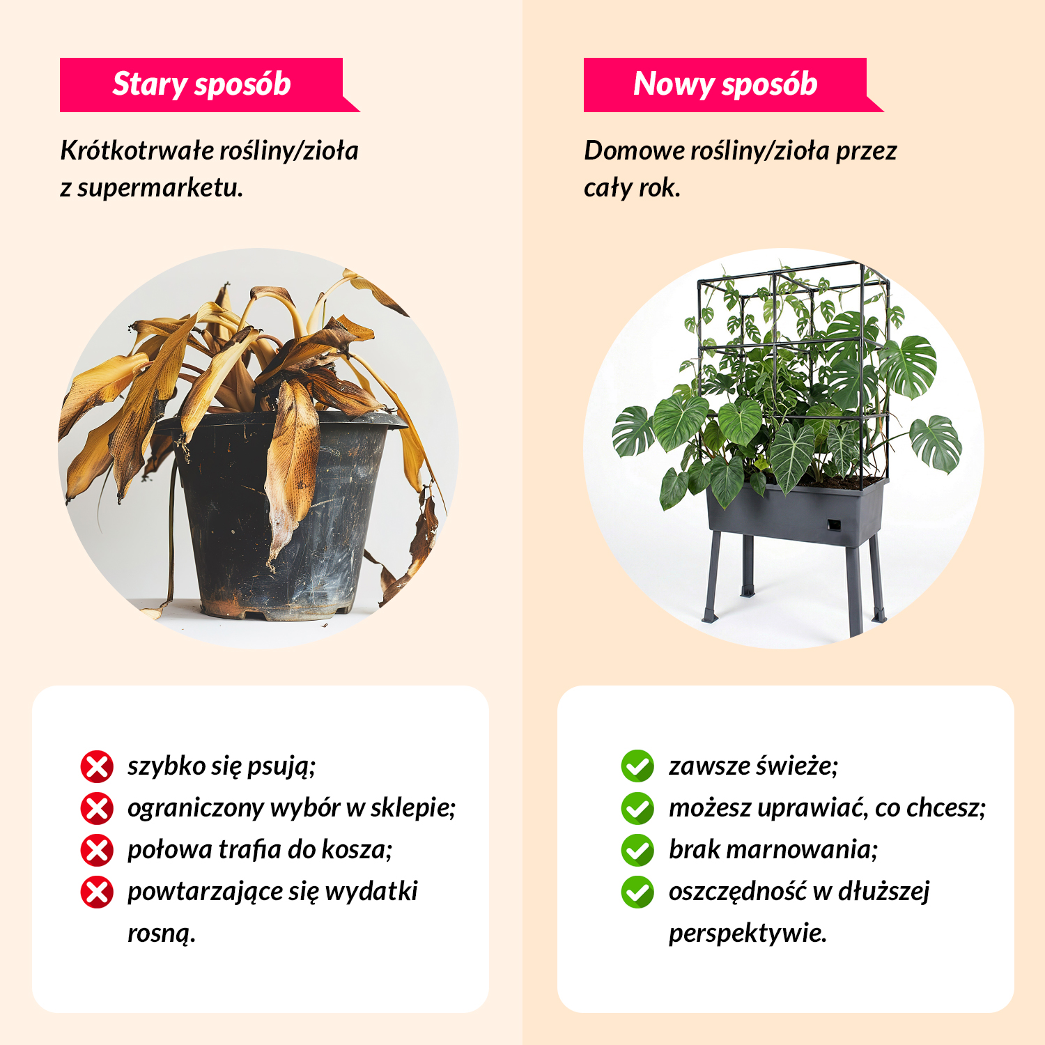 05_infografika_08.jpg